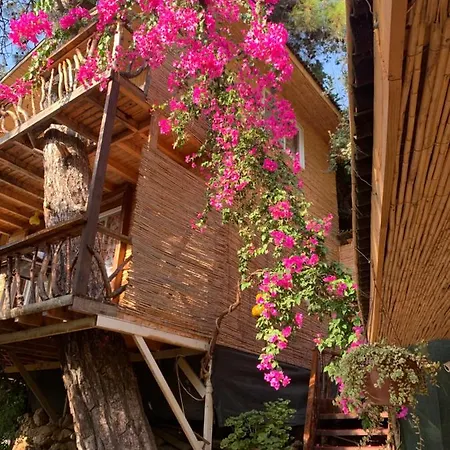 Large With Sea View In Kabak Bay, Oeluedeniz Hotel *